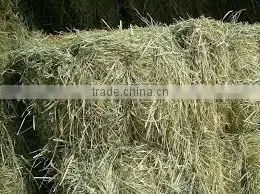 Animal Feeding Hay, Grass Hay Bale, Rhode Hay Bale, Rhode Grass Hay Bale