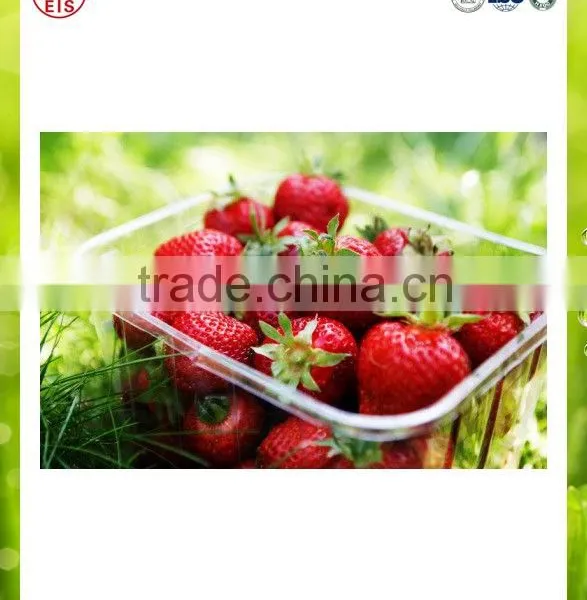 Best Price Fresh Strawberry photo-3