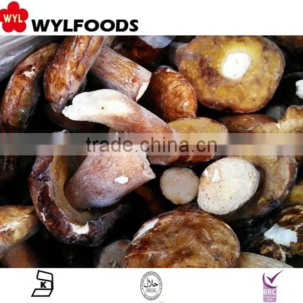 Frozen Boletus Edulis Yunnan for Hot Sale photo-4