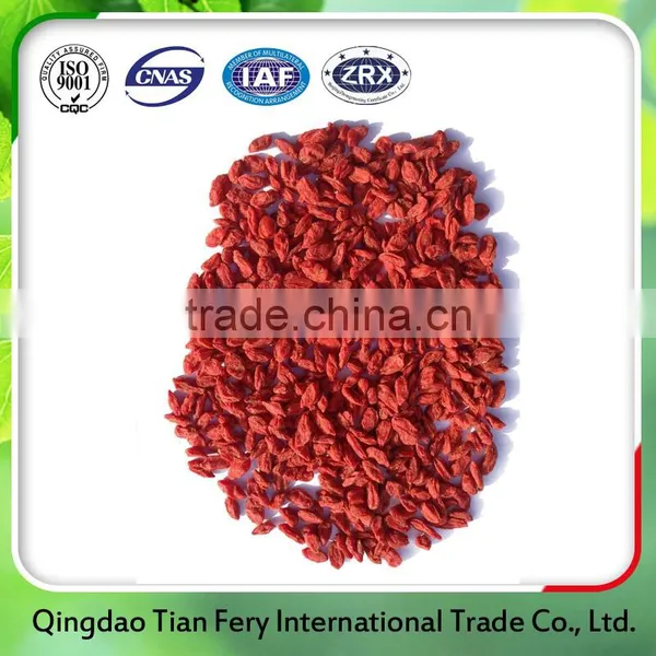 China Good Quality Certified Goji Berries photo-2