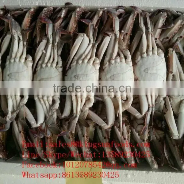 Wholesale Frozen Blue Swimming Crab for Hot Sale photo-5