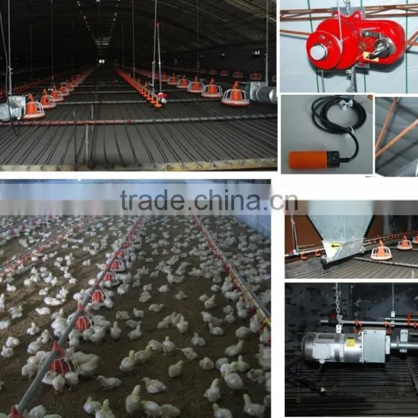 Chicken Feeding System photo-3