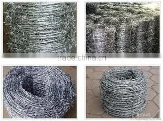 Anping Export 2 Strand Barbed Wire Hot Dipped Galvanized Barb Wire photo-3