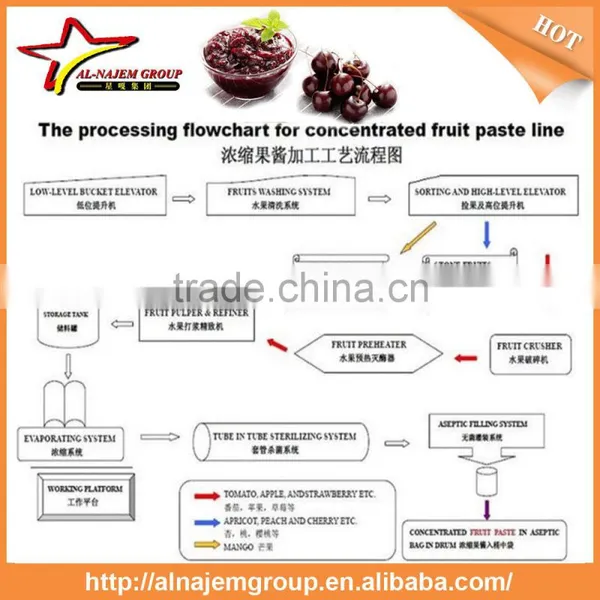 Cherry Fruit Jam Production Line/fruit Jam Making Machine System photo-5