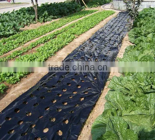 plastic perforated mulching film
