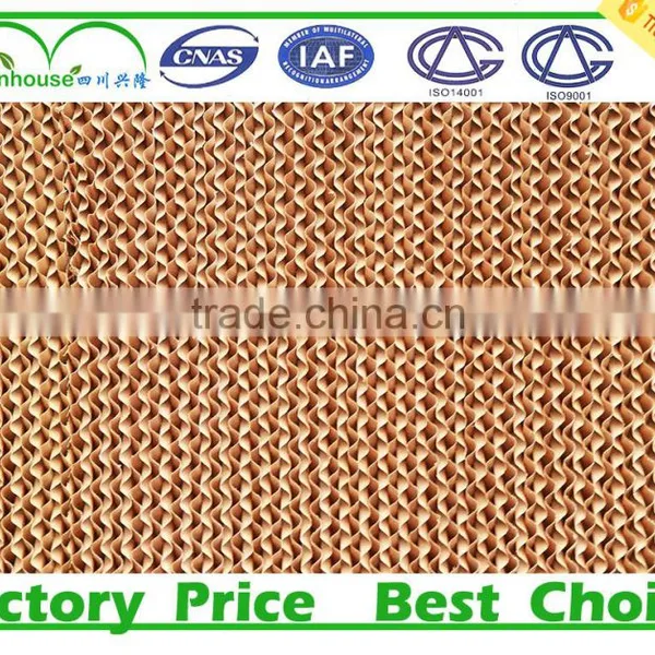 Honey Comb Cooling Pad