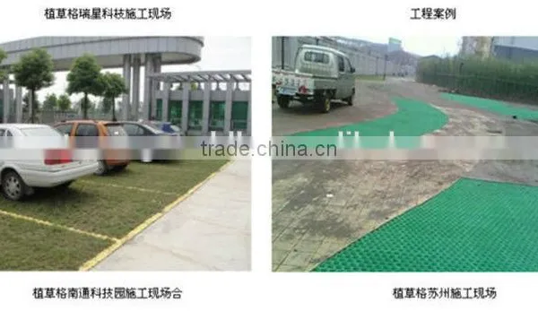 Plastic Paving Grid photo-3