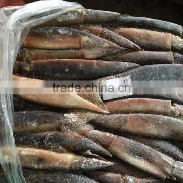 Frozen Squid(loligo Squid,frozen Fish) photo-3