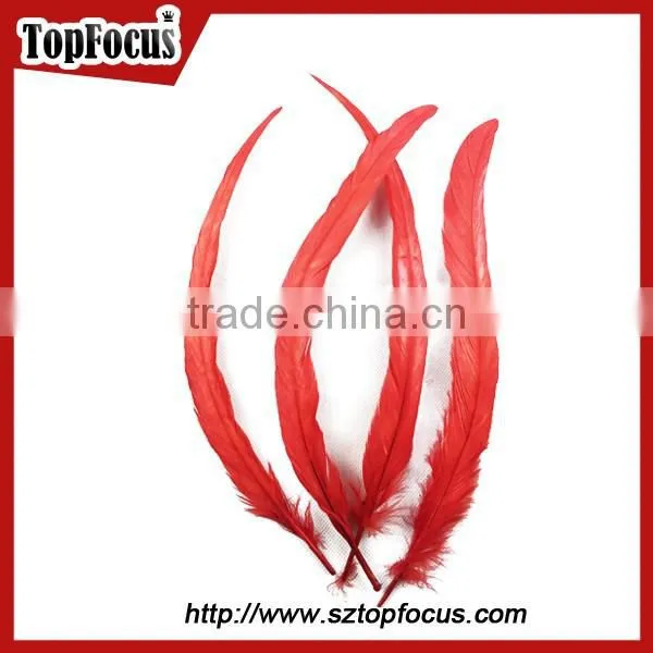 Dyed Color Big Long Natural Grizzly Rooster Feathers for Sale photo-5