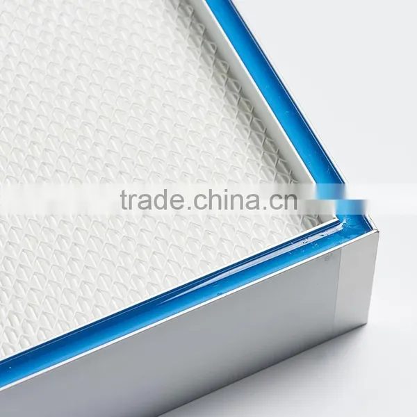 Factory Price Gel Sealant Mini-pleated Ulpa/hepa Filter photo-4