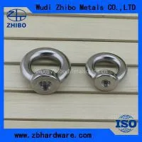 Stainless Steel Long Shank Eye Bolt