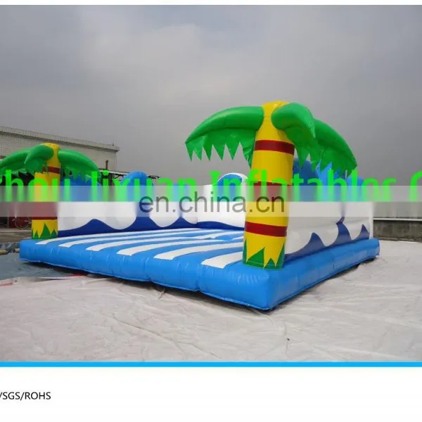 Mechanical Surfboard Ride for Sale / Motorized Surfboard With Inflatable Matrass photo-2