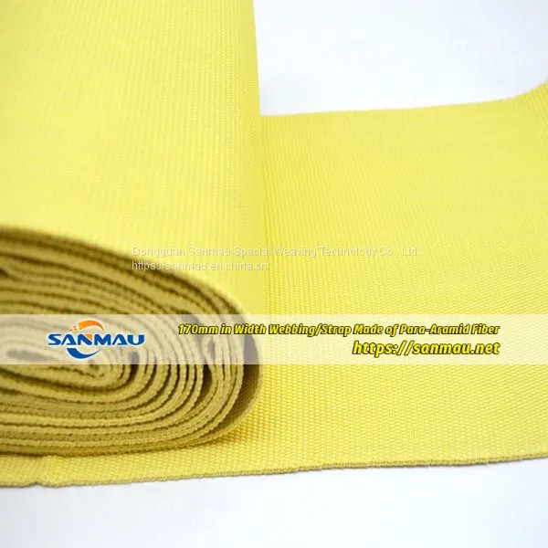 Kevlar Webbing Manufacturer Aramid Straps Supplier Make-to-Order photo-5