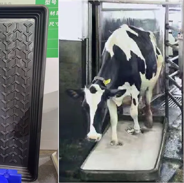 FEELFREE Cow's Hoof Bath, Foot Bath, Cattle Hoof Disinfection Tank, Cow's Hoof Medicine Bath, Anti-freezing, High Temperature and Anti-aging photo-2