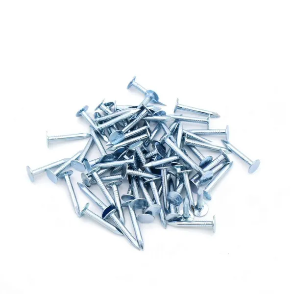 Flat Head Roofing Nails 1kg Box Galvanized Steel for Building Materials Wholesale photo-3