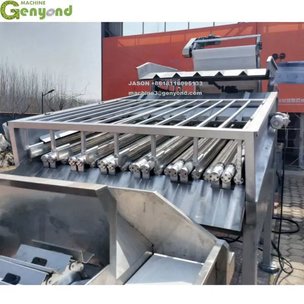 GY 2025 Industrial Maize Peeling Machine Big Capacity Sweet Corn Peeler Machine photo-2