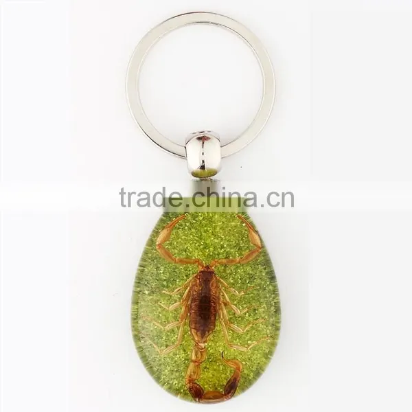 Real Insect Keychain With Scorpion photo-2