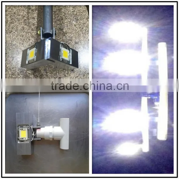 12V 30 W Led Fishing Chip Used for Led Fishing Lamp photo-5