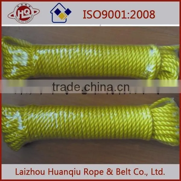 Made in China PP/PE Clothesline photo-4