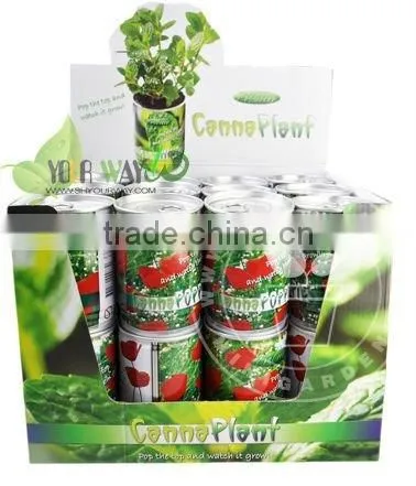 Plant in a Can photo-2