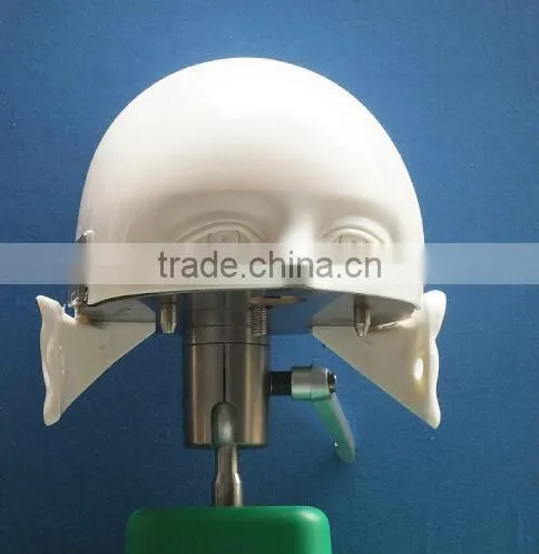 Dental Manikin Phantom Head/Dental Training Head Simulator Manikin With Torso for Student photo-3