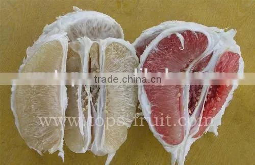 Honey Pomelo photo-2