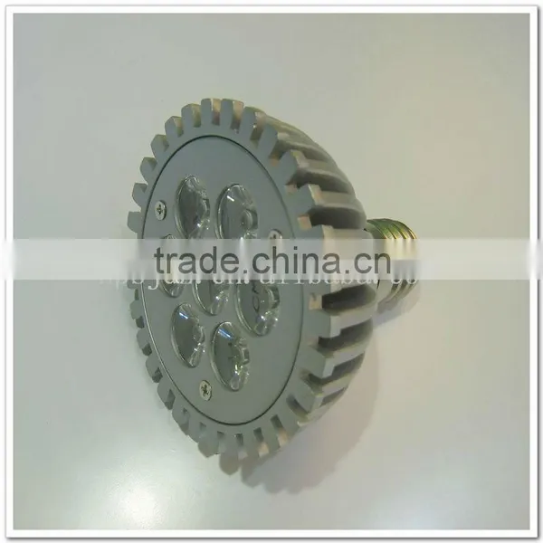 LED PAR30 Lamp