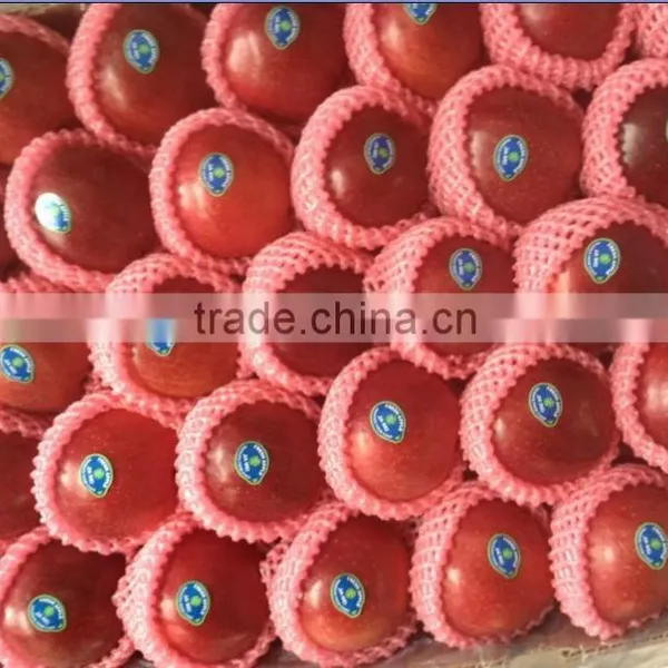 Chinese Huaniu Apple Exporting photo-3