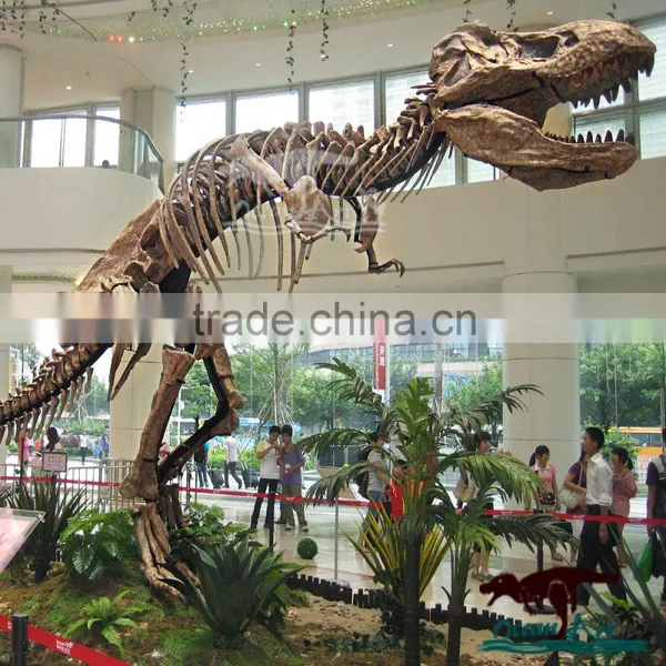 Dinosaur Manufacture Life Size Dinosaur Bones for Sale photo-2
