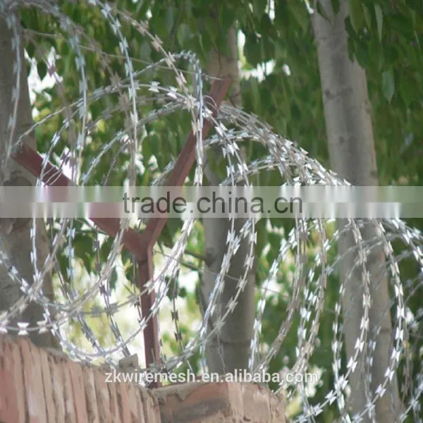 PVC Coated Razor Barbed Wire Factory photo-5