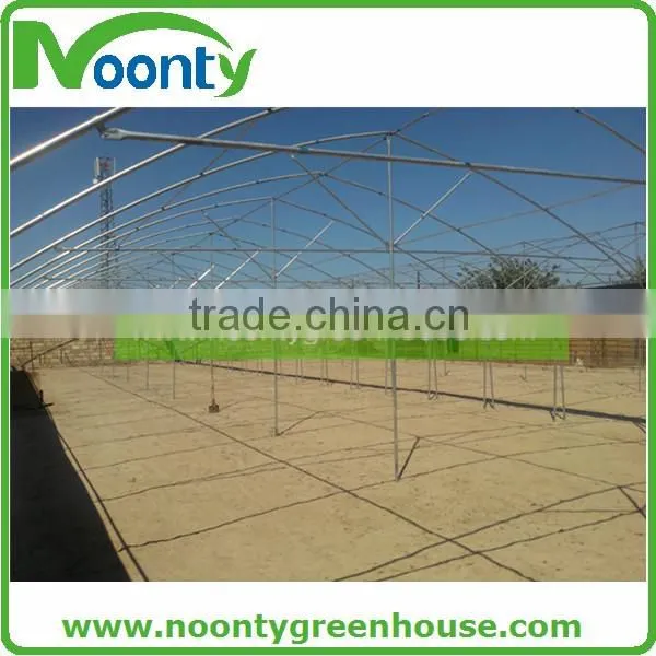 Multispan Tunnel Greenhouse for Flower photo-3
