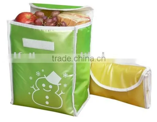 Cooler Bag