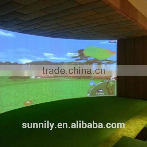 3D Screen Simulated Golf photo-2