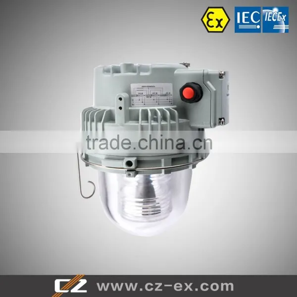 High Quality From25W to 250W Explosion-Proof Light Fitting