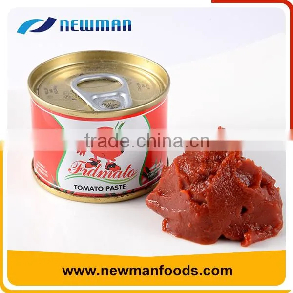 100% Fresh Ripe Tomato Paste Factory Price Canned Tomato Paste