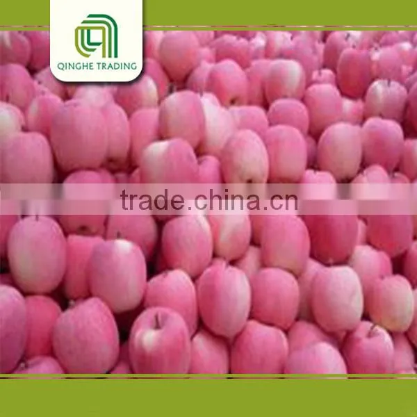 Price of China Fuji Apple Fuji Apples From Jining Greenfarm Sweet Red Fresh Apple