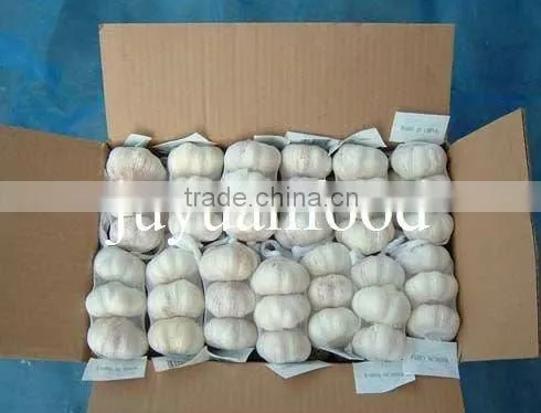 Chinese White Garlic