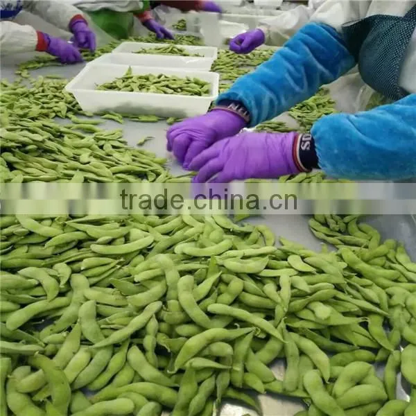 Chinese Frozen Green Soy Bean, IQF Edamame photo-6