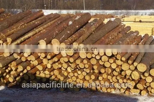 HARDWOOD / LARCH WOOD LOGS TIMBER RUSSIAN ORIGIN photo-2