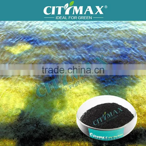 Seaweed Extract Alginate Sodium