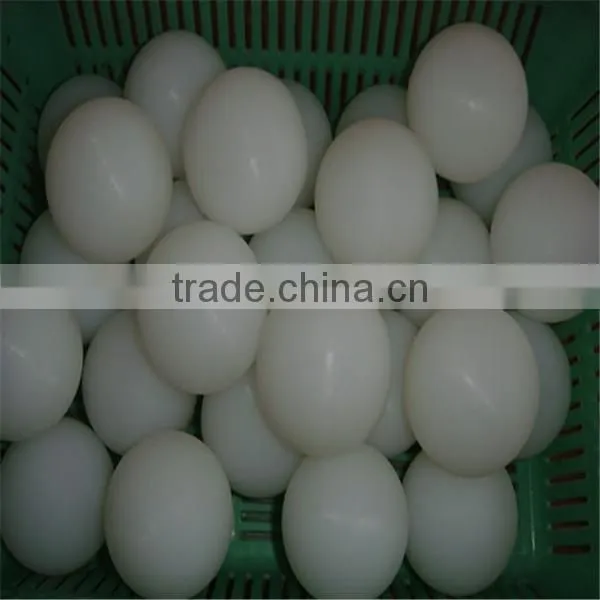 Plastic Injection UHMW-PE Plastic Ball photo-5