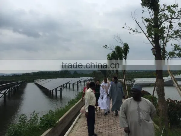 20MW Grid PV Power Station in Baihu Anhui photo-2