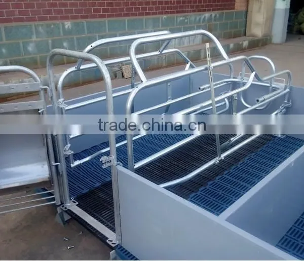Sow Gestation Pen As Pig Farm Equipment photo-4