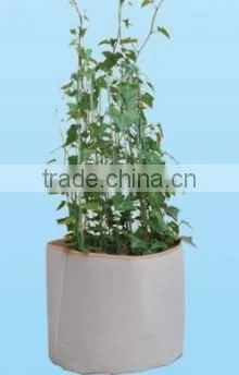 Non Woven Grow Bag for Plant,Indoor and Outdoor Planter Bags photo-3