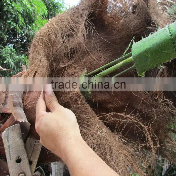 Plastic Artificial King Coconut Tree Green Large Coconut Tree photo-4