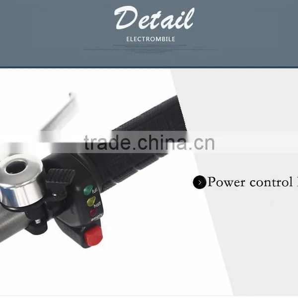 Electric Folding Bike photo-3