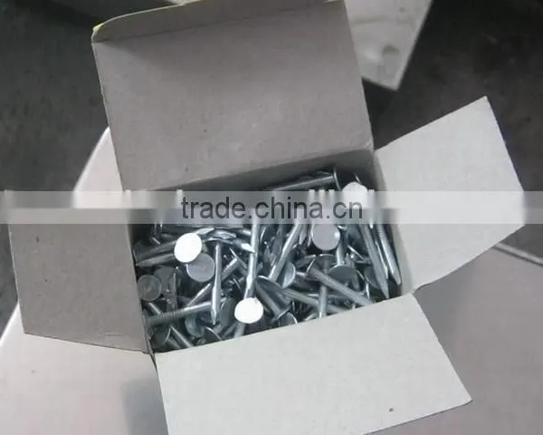 Hardboard Nails photo-4