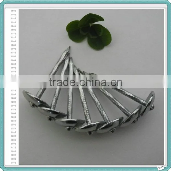 Umbrella Roofing Nails With Gunny Bag Packing photo-3