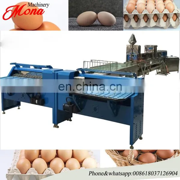 Manufacturer Egg Processing Machine / Automatic Egg Grader / Egg Weight Classifier Machine photo-6