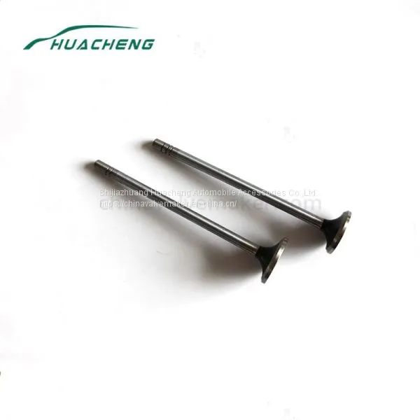 Diesel Engine Valve for Caterpillar